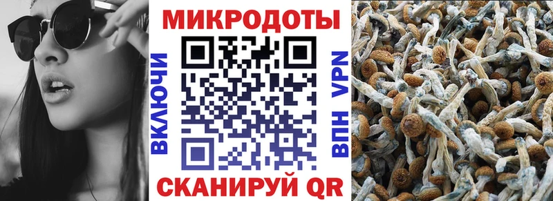 Галлюциногенные грибы Psilocybe  ОМГ ОМГ ТОР  Вязники  наркотики 