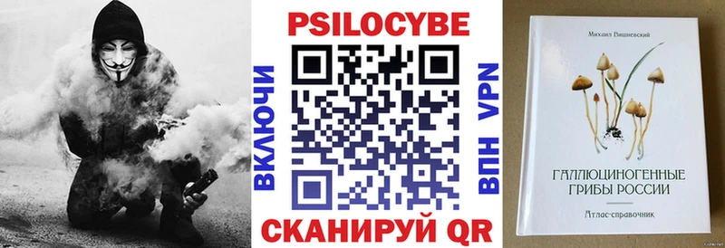 Псилоцибиновые грибы Cubensis Вязники