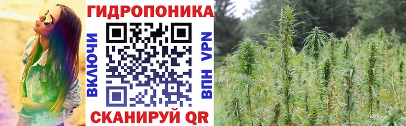 Конопля MAZAR  где купить наркотик  Вязники 